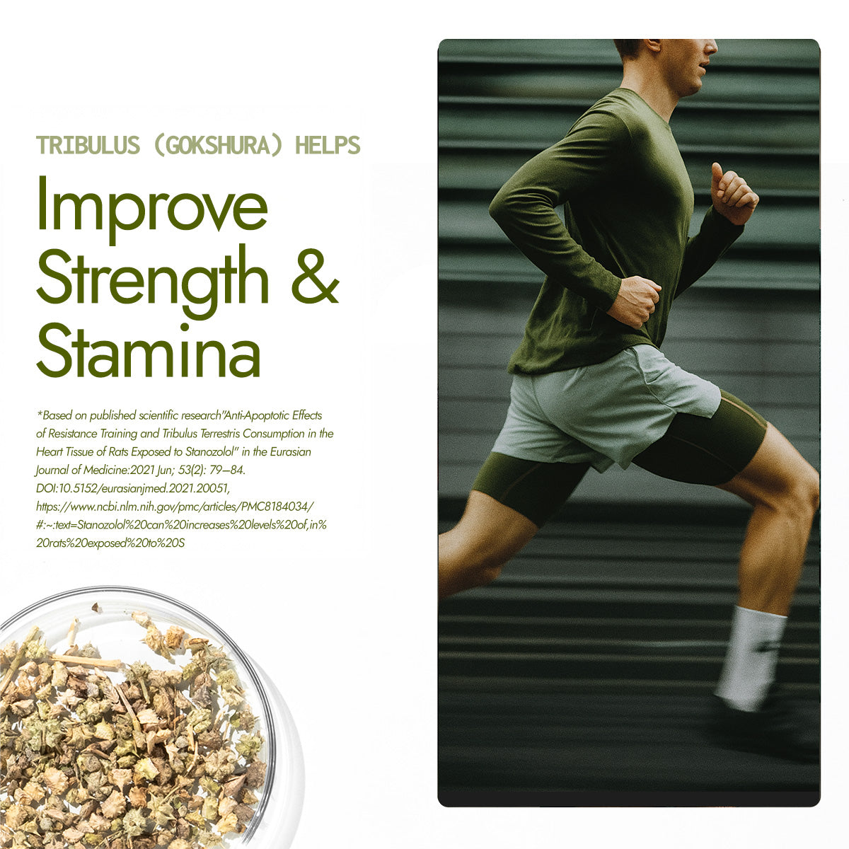 Kapiva Shilajit Plus Capsules