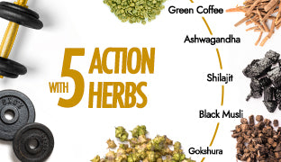 What Makes This More Than Shilajit?