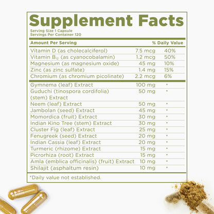 Kapiva Blood Sugar Support