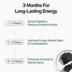 Load image into Gallery viewer, Kapiva Shilajit Gummies  (No Added Sugar)

