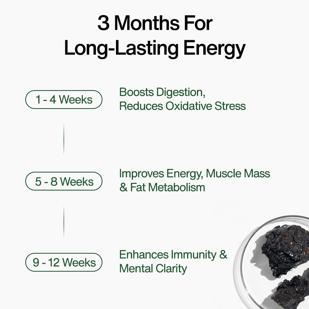 Kapiva Shilajit Gummies  (No Added Sugar)