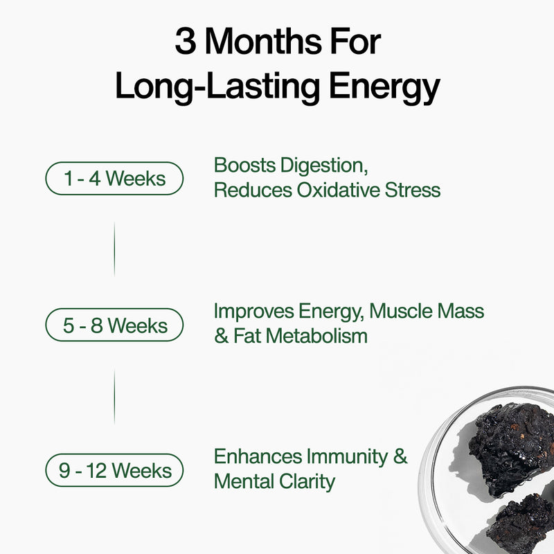 Kapiva Shilajit Gummies  (No Added Sugar)