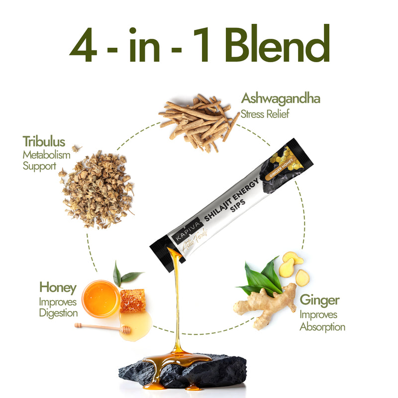 Shilajit Honey Energy Sips