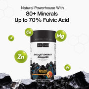 Kapiva Shilajit Gummies  (No Added Sugar)