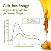 Shilajit Honey Energy Sips