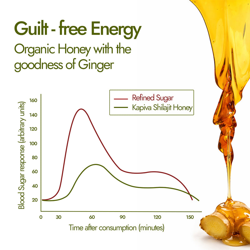 Shilajit Honey Energy Sips
