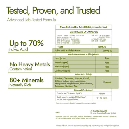 Shilajit Honey Energy Sips