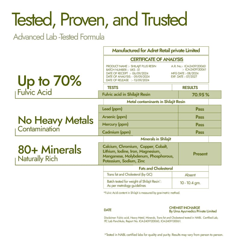 Shilajit Honey Energy Sips