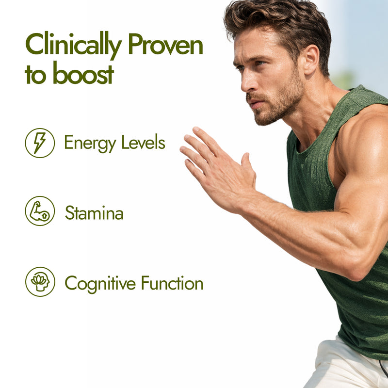 Shilajit Honey Energy Sips