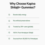 Load image into Gallery viewer, Kapiva Shilajit Gummies  (No Added Sugar)
