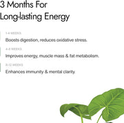 Kapiva Shilajit Plus Capsules