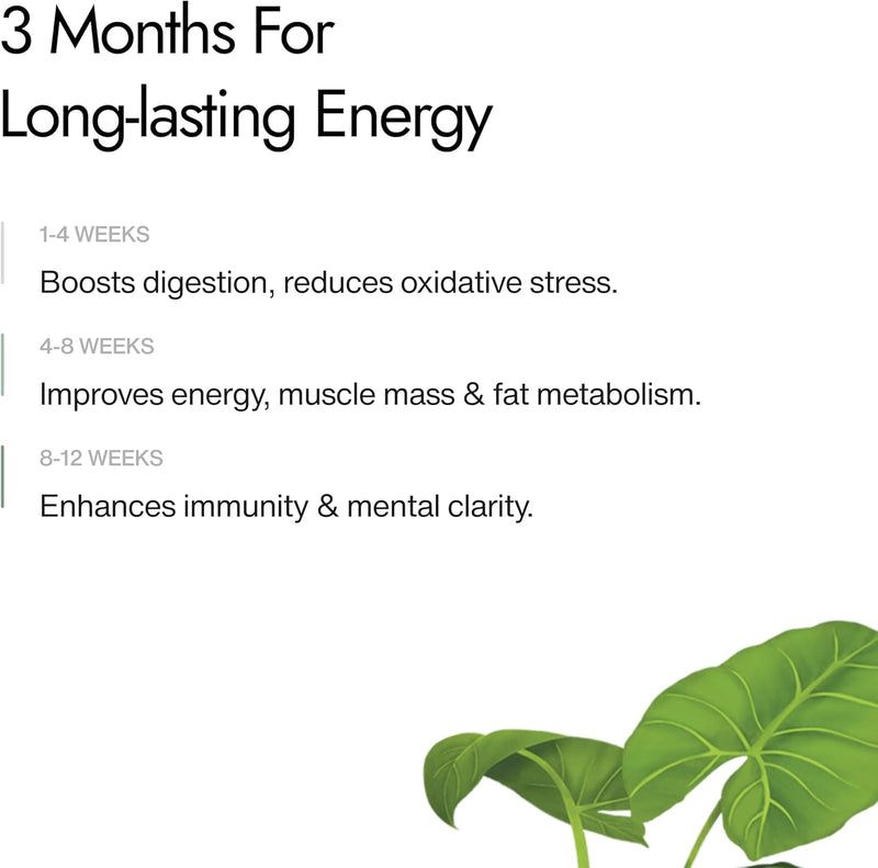 Kapiva Shilajit Plus Capsules